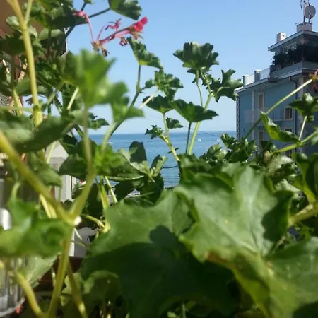Le Muse Taormina - Next To The Sea Apartment *